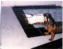 170.47 KB 
